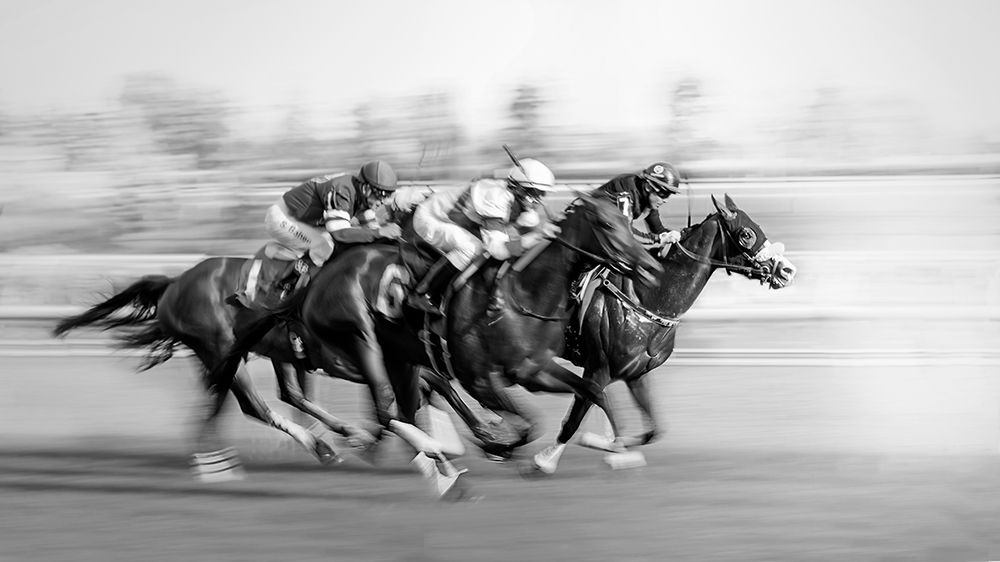 Horse Racing @ Queens Plate art print by little7 for $57.95 CAD
