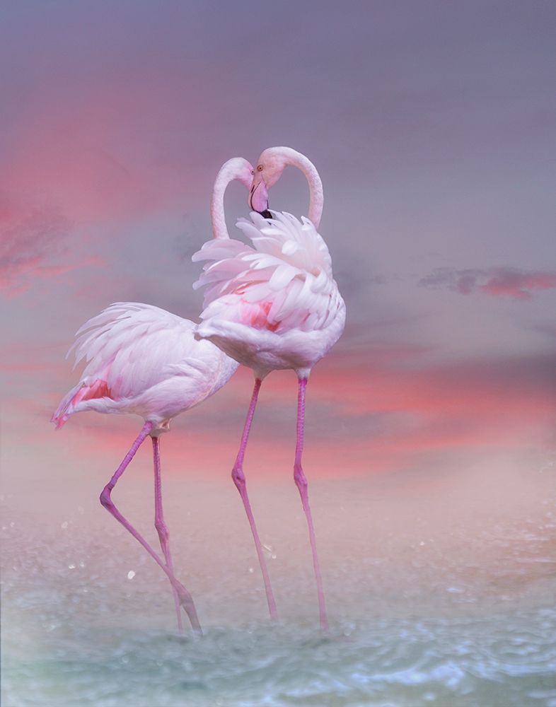 Flamingo Ballet art print by Krystina Wisniowska for $57.95 CAD