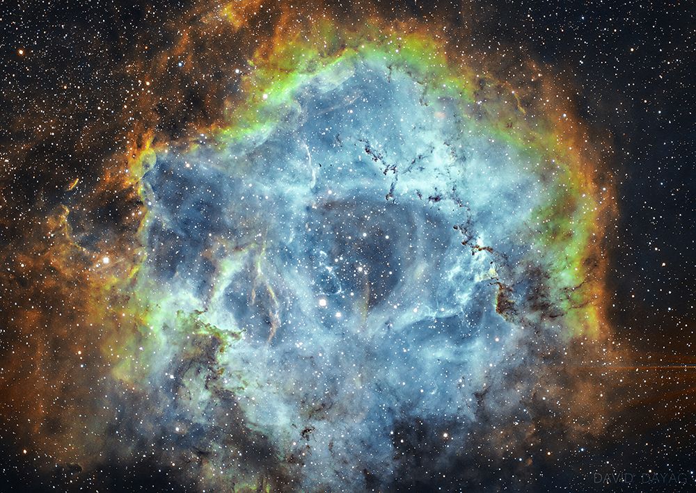 The Rosette Nebula art print by David Dayag for $57.95 CAD