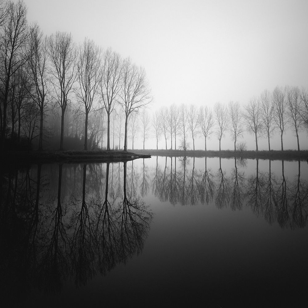 In Dreams art print by Christophe Staelens for $57.95 CAD
