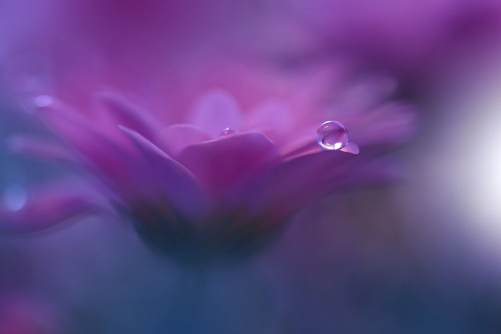 Without Form, Without Limit...II art print by Juliana Nan for $57.95 CAD