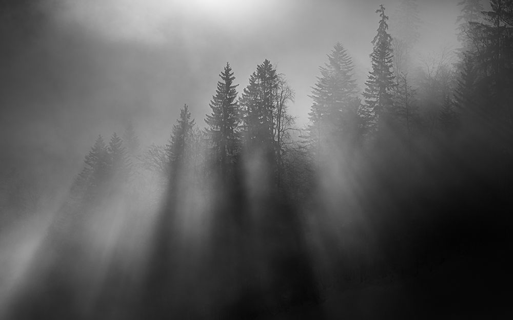 wintersun art print by Andy Dauer for $57.95 CAD
