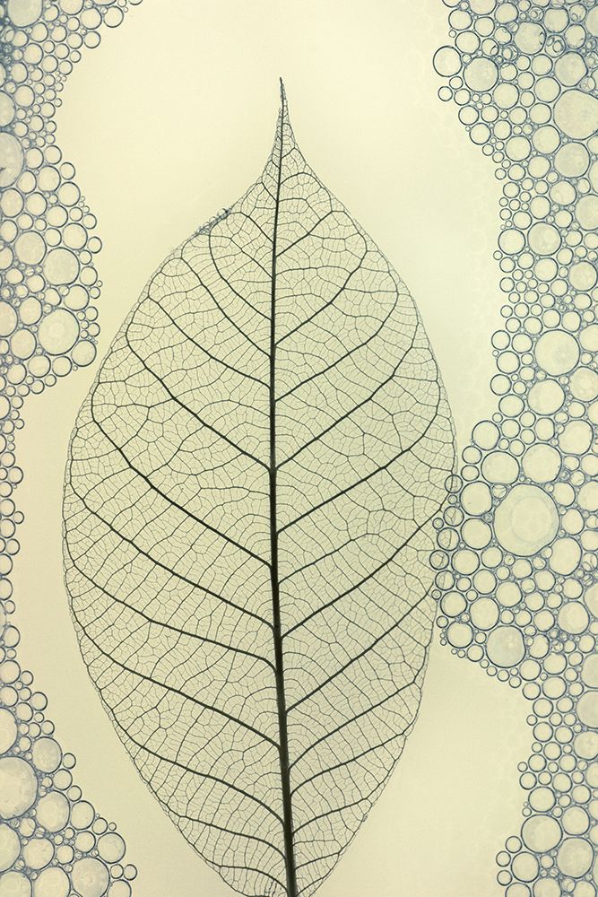 leaf art print by Shihya Kowatari for $57.95 CAD
