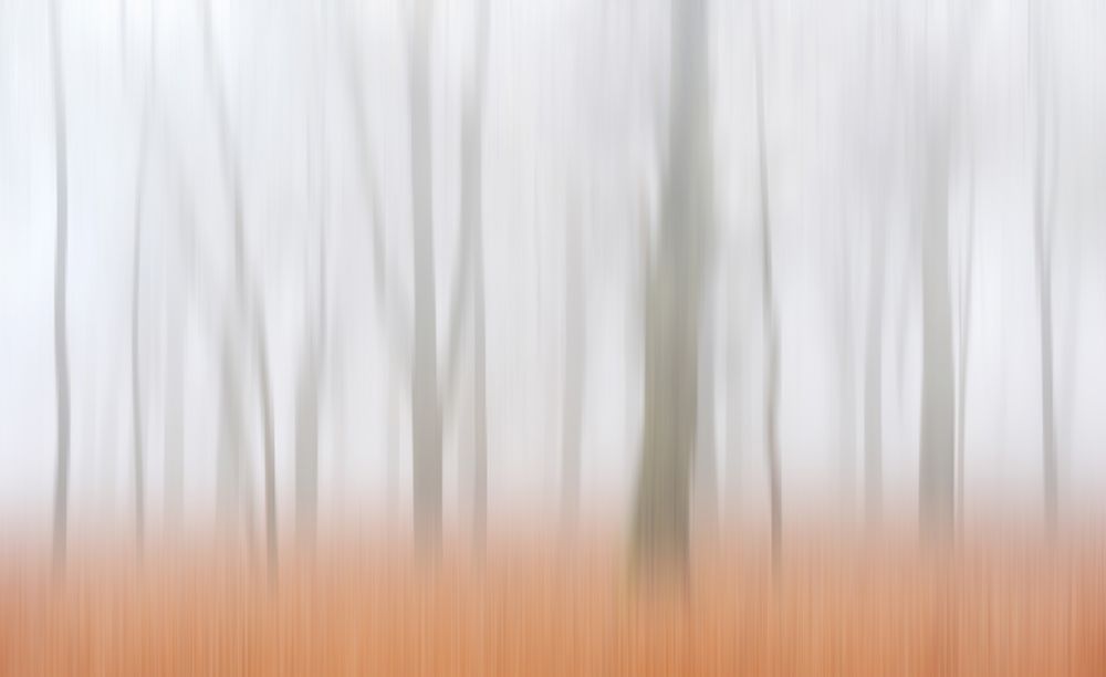Misty Autumnimpression art print by Huib Limberg for $57.95 CAD