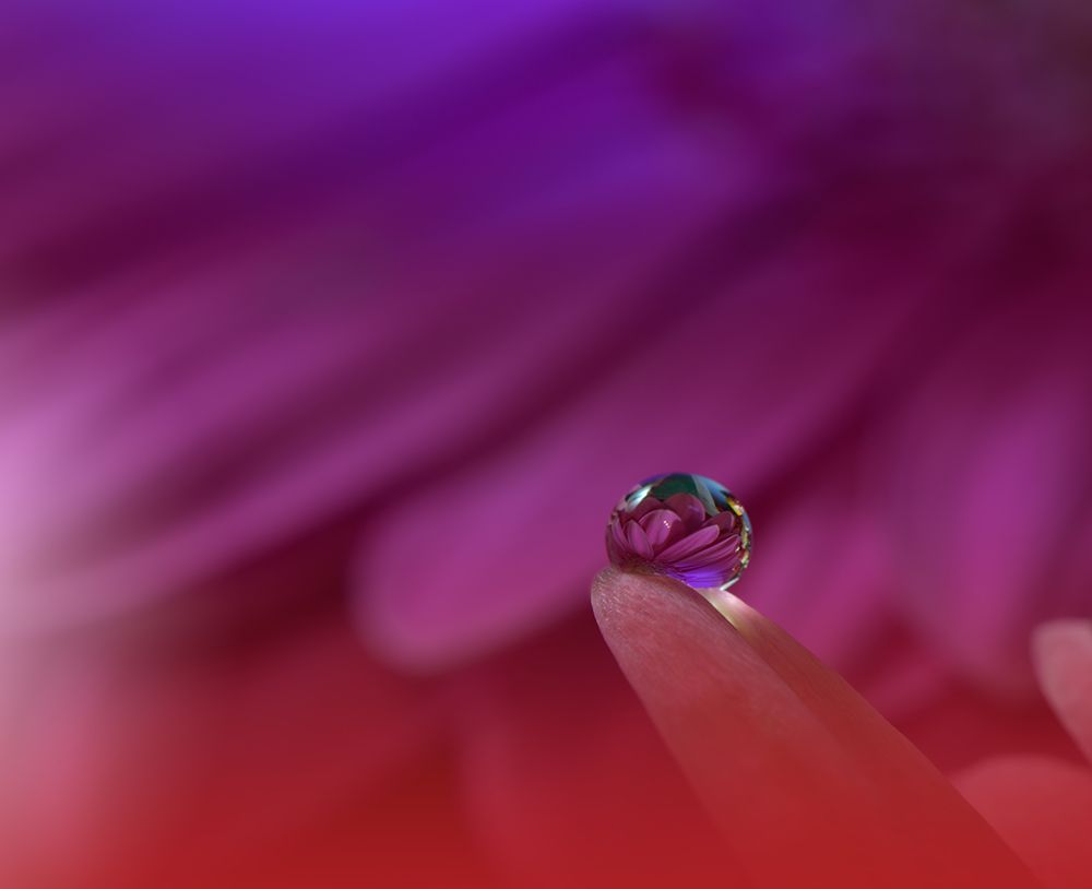 Prism Of Life.. art print by Juliana Nan for $57.95 CAD