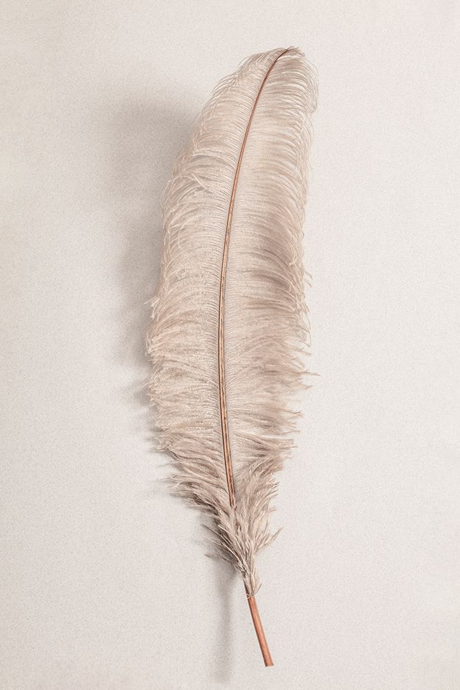Feather_002 art print by 1x Studio III for $57.95 CAD