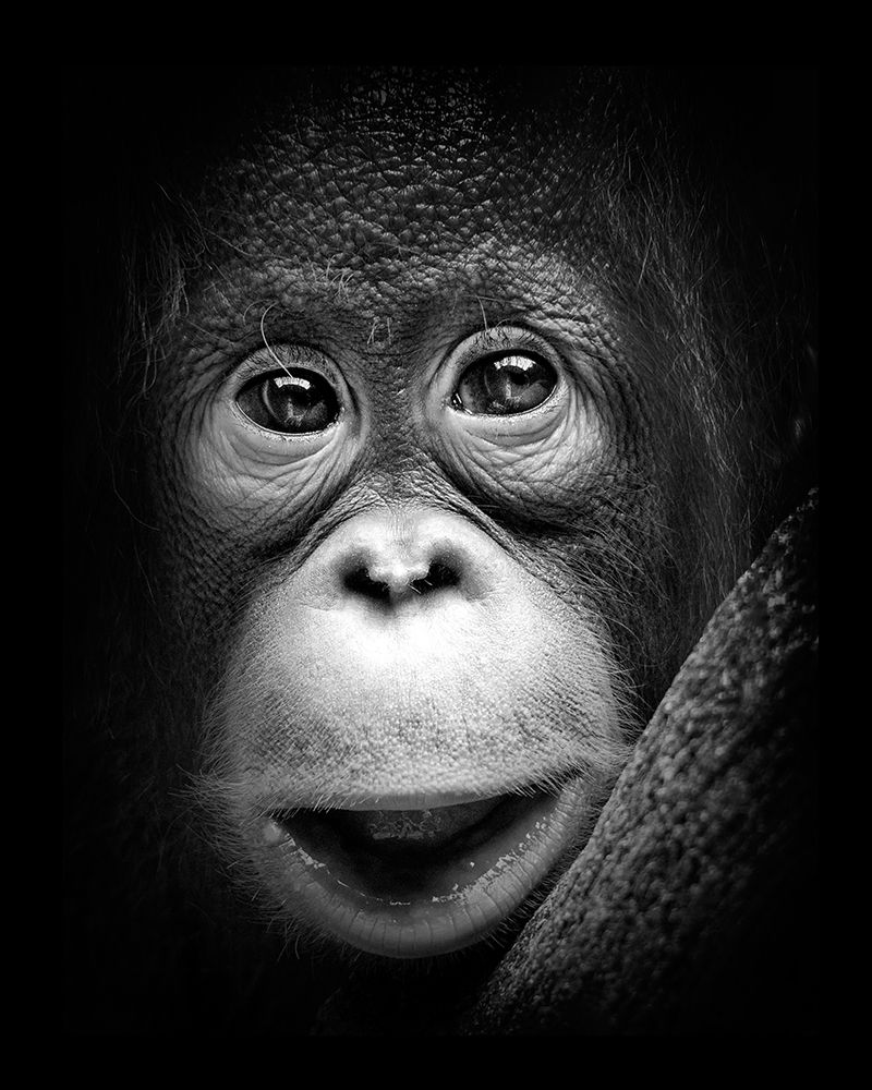 Innocent art print by Antonyus Bunjamin (Abe) for $57.95 CAD