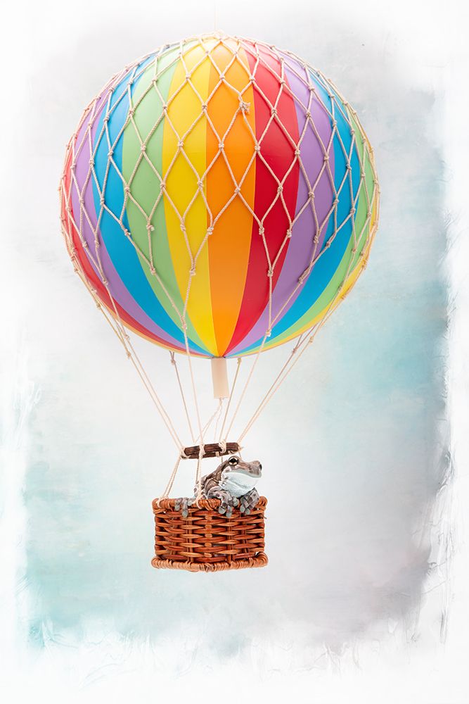 Up Up and Away art print by Linda D Lester for $57.95 CAD