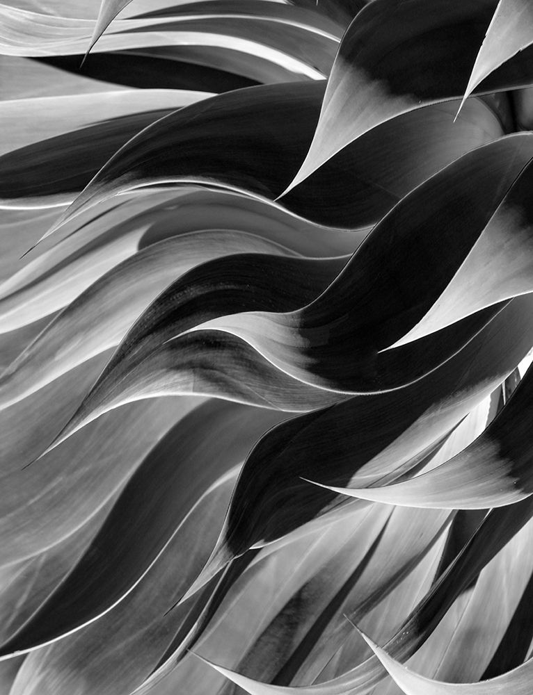 Winter leaves abstract art print by Robin Wechsler for $57.95 CAD