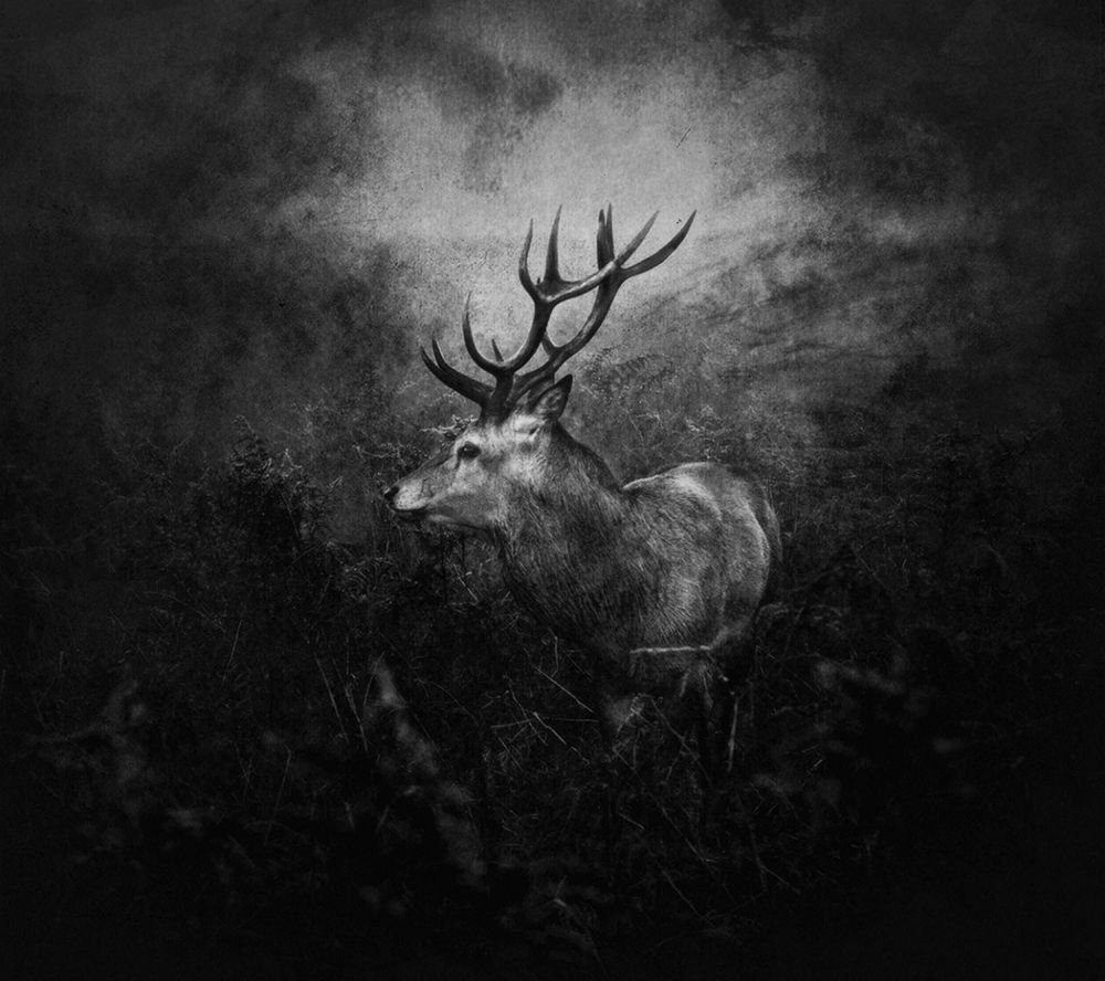 Autumn is gone... art print by Robert Fabrowski for $57.95 CAD