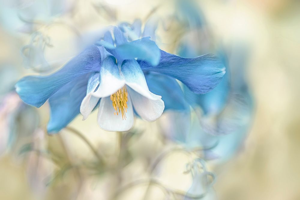 Fantasy art print by Jacky Parker for $57.95 CAD
