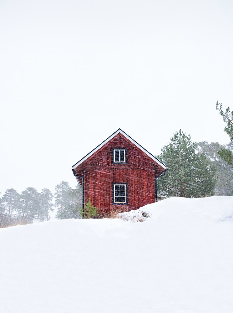 Old Red House During Snowstorm art print by Christian Lindsten for $57.95 CAD