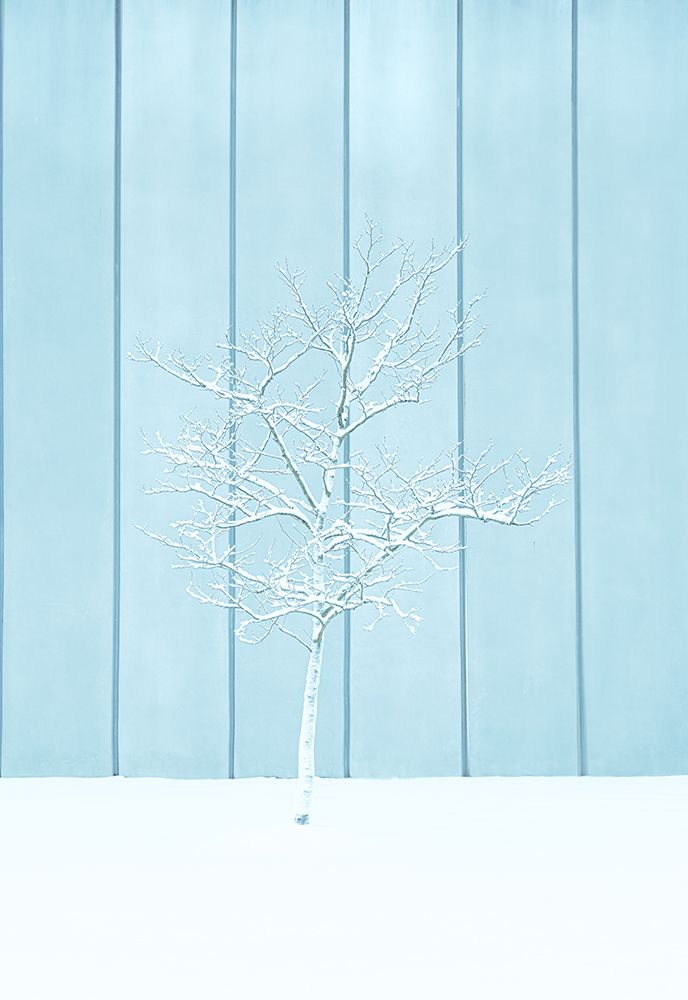 A lonely Snow Tree art print by Yanny Liu for $57.95 CAD
