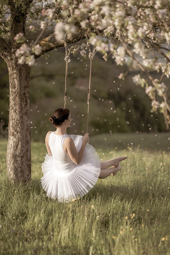 Cherry Tree Swing art print by James Graf for $57.95 CAD
