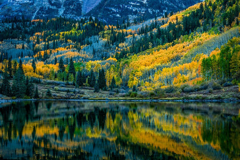 Autumn Color art print by Wanghan Li for $57.95 CAD