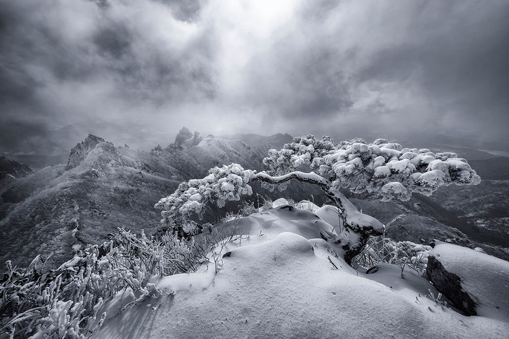 Mountain Top art print by Tiger Seo for $57.95 CAD