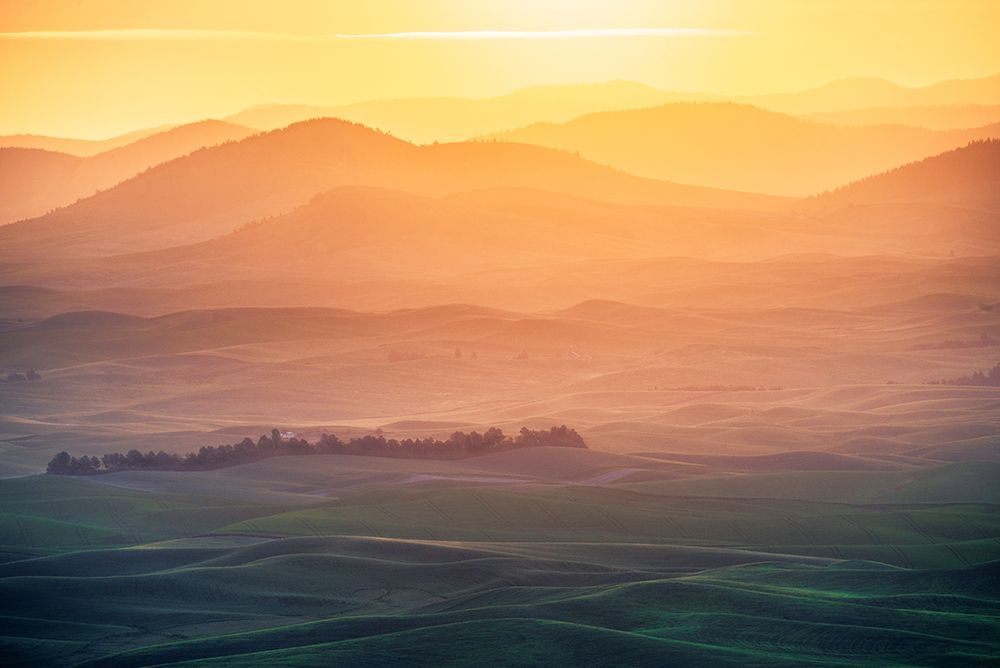 Dreamy Morning art print by Naphat Chantaravisoot for $57.95 CAD