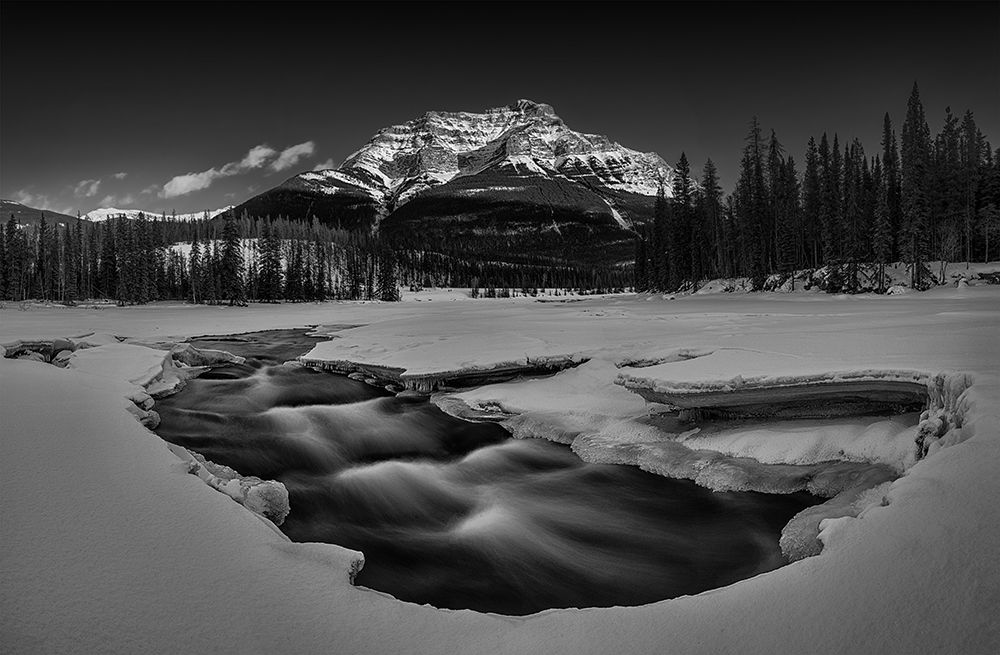 Winter Athabasca Falls art print by Lydia Jacobs for $57.95 CAD