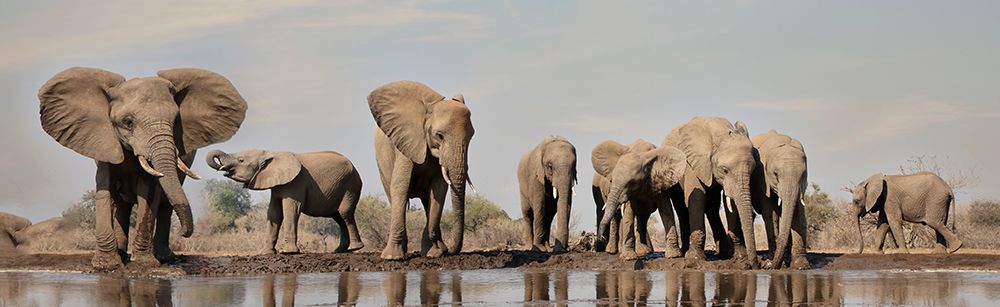 The Morning They All Came to the Water art print by Linda D. Lester for $57.95 CAD