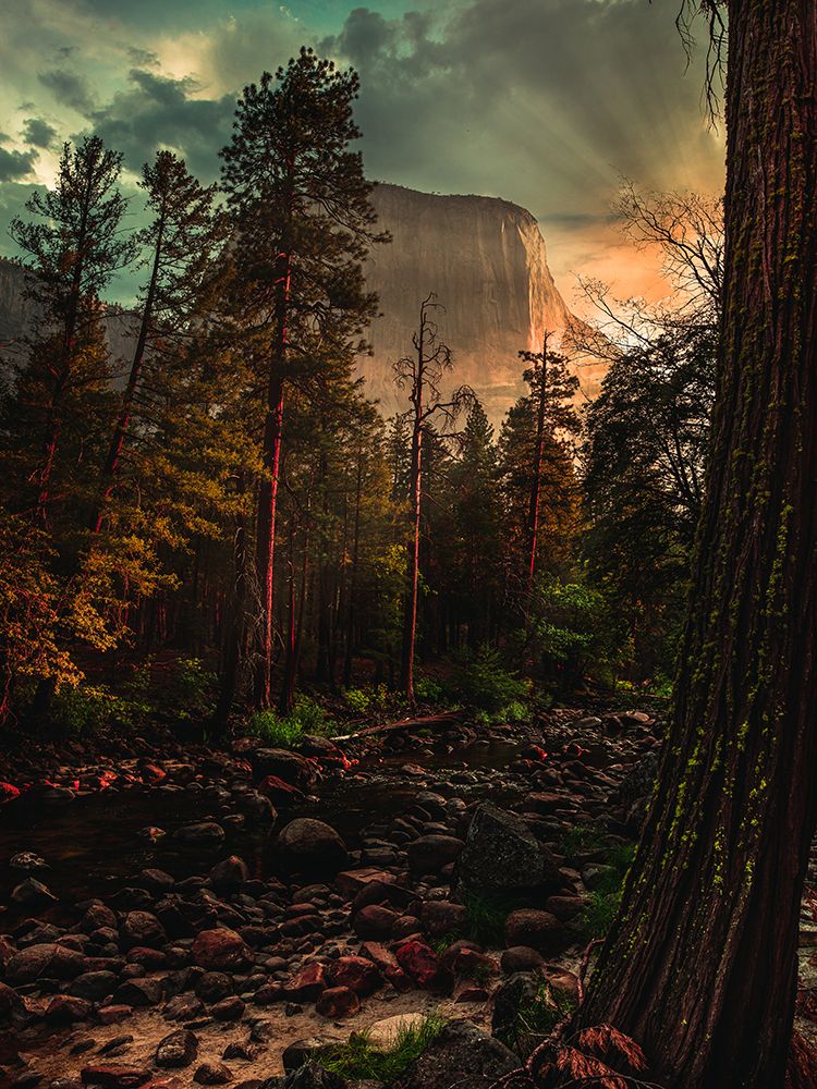 Yosemite 6 art print by Pirouz Moshavash for $57.95 CAD