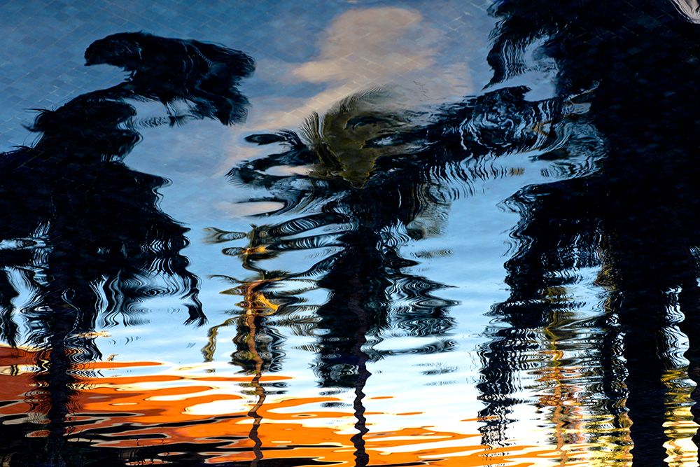 Palm Reflections art print by Tim Mossholder for $57.95 CAD