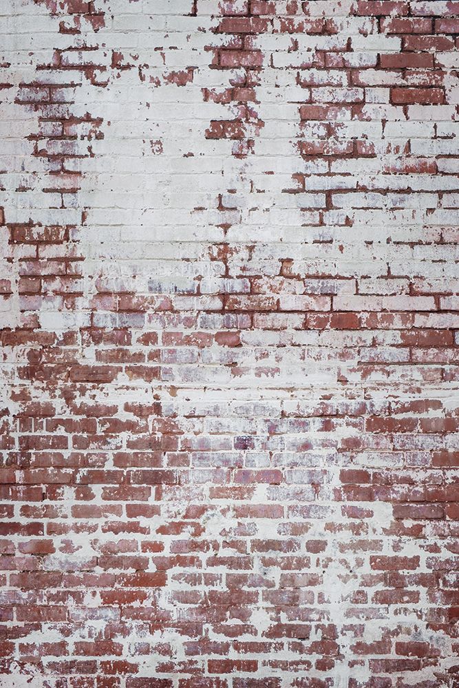 Brick Wall art print by Tim Mossholder for $57.95 CAD