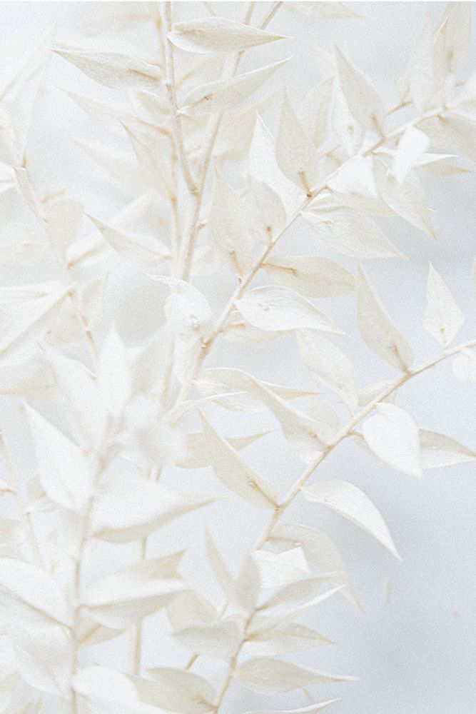 Misty Twig art print by Anastasia Sawall for $57.95 CAD