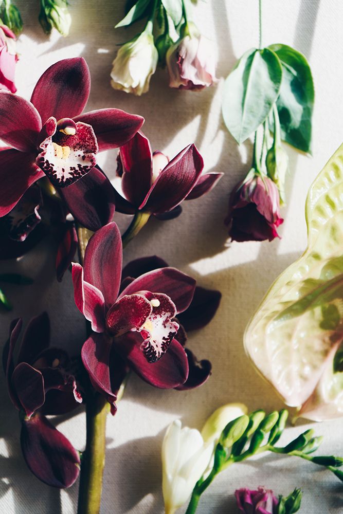 Flower Mood art print by Anastasia Sawall for $57.95 CAD