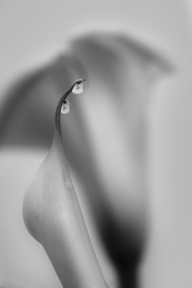 Two Drops art print by Simon Chenglu for $57.95 CAD