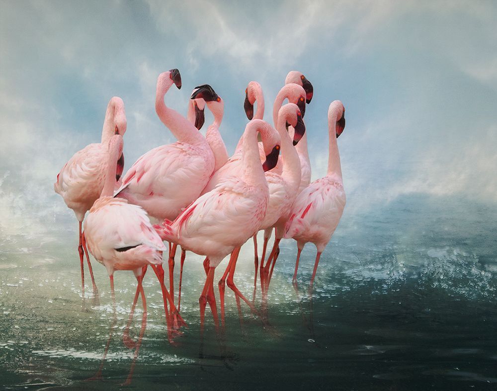 Lesser Flamingo Summit art print by Krystina Wisniowska for $57.95 CAD