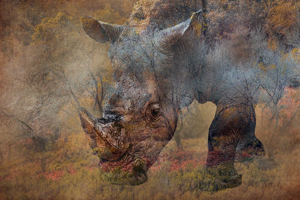 Rino art print by Vitor Martins for $57.95 CAD