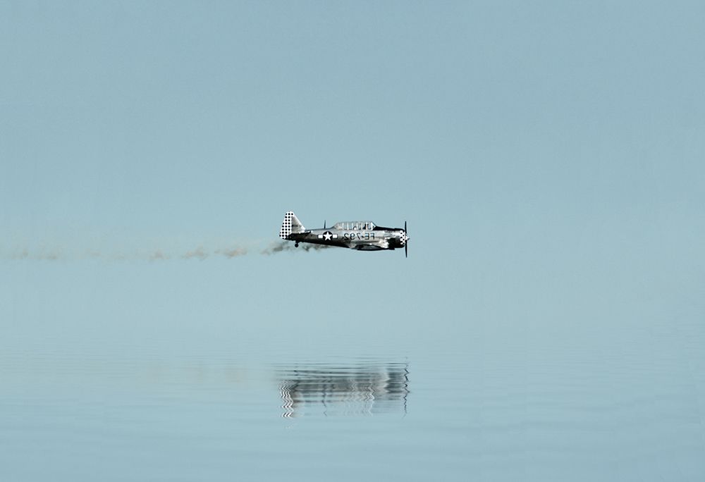 Fly low art print by Marcus Cederberg for $57.95 CAD
