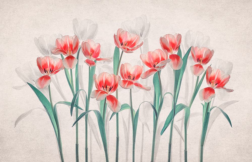 Joy of Spring art print by Lydia Jacobs for $57.95 CAD
