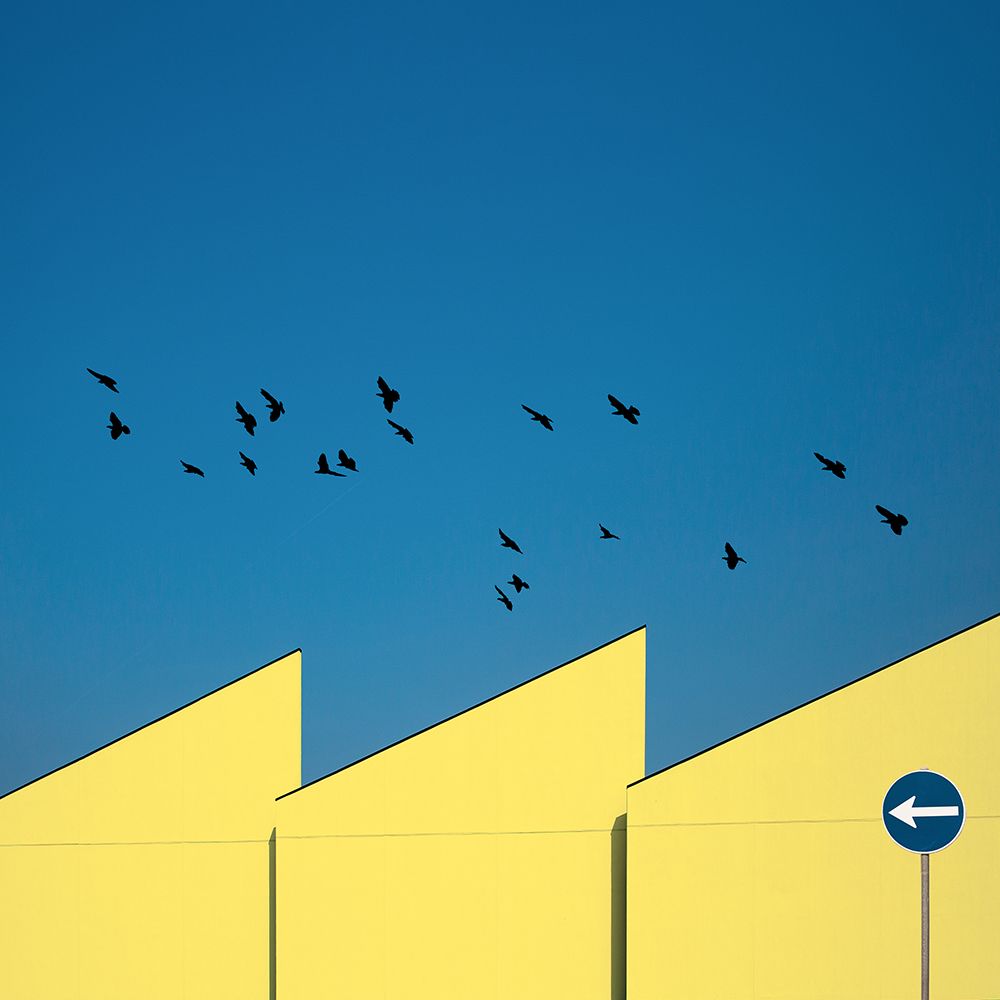 blue and yellow art print by Inge Schuster for $57.95 CAD