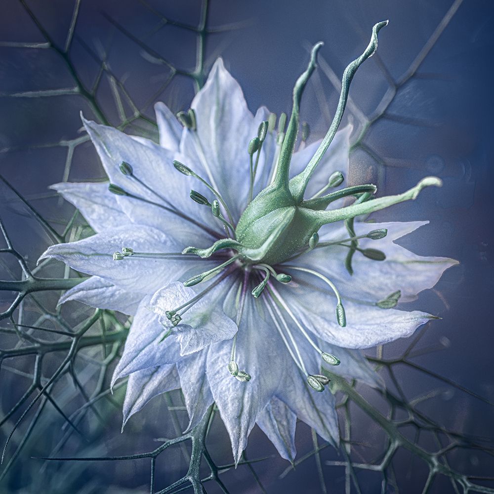 Alien art print by Yves Gauvreau for $57.95 CAD