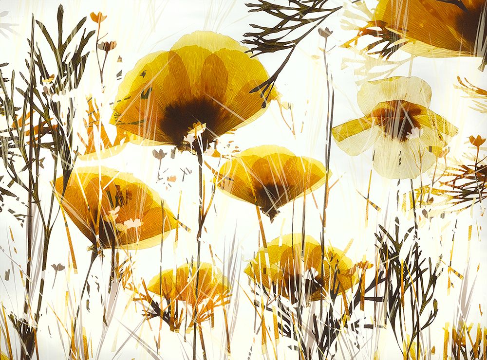 Promise art print by Nel Talen for $57.95 CAD