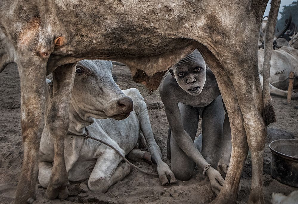 Mundari boy colleting dung - South Sudan art print by Joxe Inazio Kuesta for $57.95 CAD