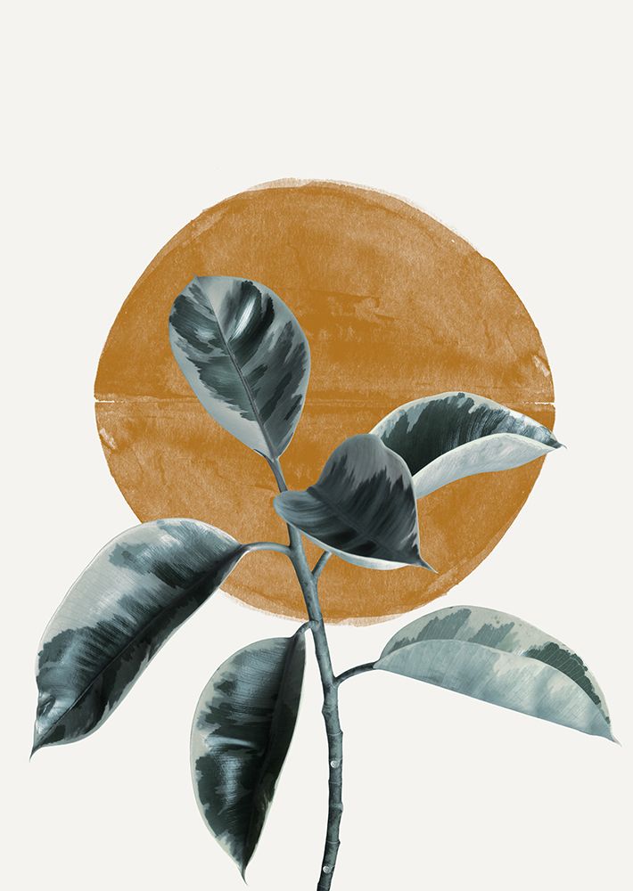 Sun and Ficus art print by The Miuus Studio for $57.95 CAD