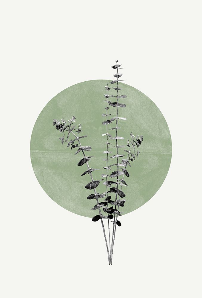 Eucalyptus and Green Moon art print by The Miuus Studio for $57.95 CAD