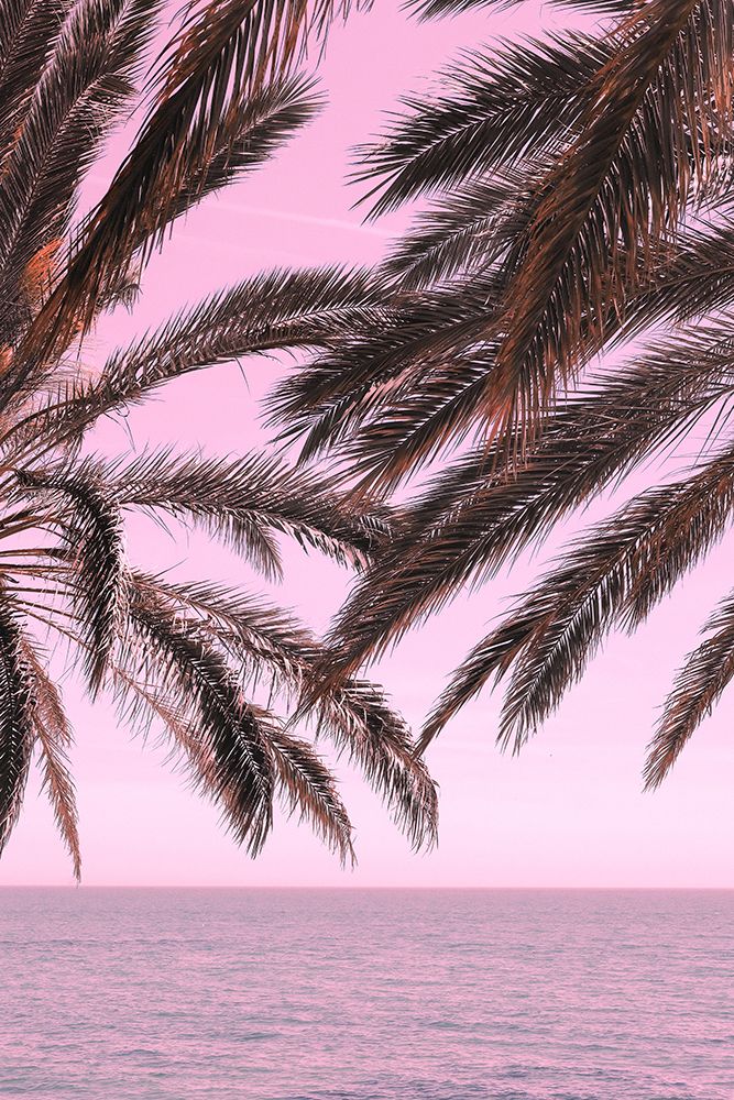 Palm Pink_001 art print by 1x Studio III for $57.95 CAD