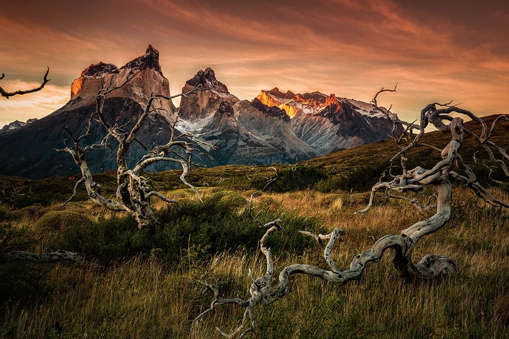 Torres Del Paine in sunrise art print by Jie Jin for $57.95 CAD