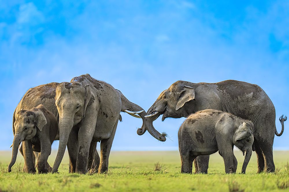 The family art print by Yogesh Bhatia for $57.95 CAD
