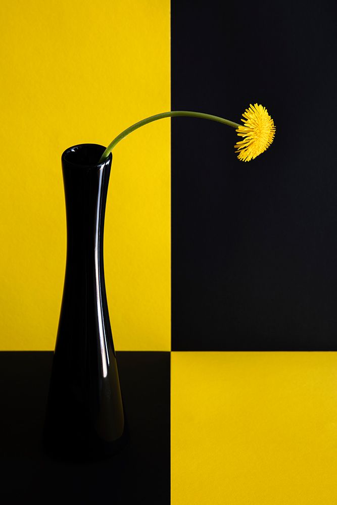 Still life with dandelion art print by Peter Hrabinsky for $57.95 CAD