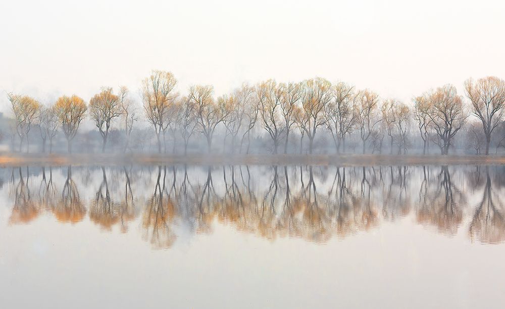 Reflection art print by Yuzheng Ren for $57.95 CAD