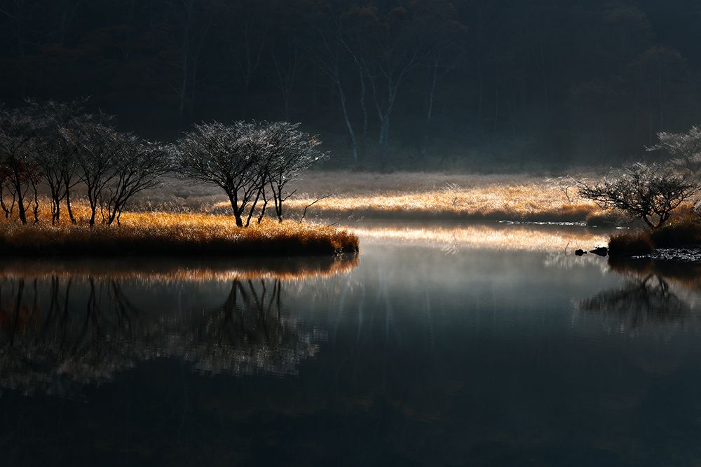 Morning of Kakumanbuchi art print by Hiroshi Nishihara for $57.95 CAD