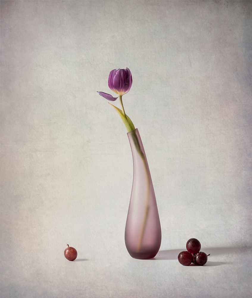 Tulip And Grapes art print by May G for $57.95 CAD
