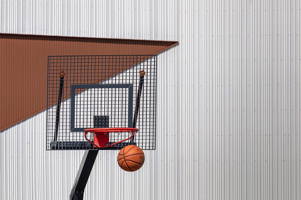 Passed the basket art print by Theo Luycx for $57.95 CAD