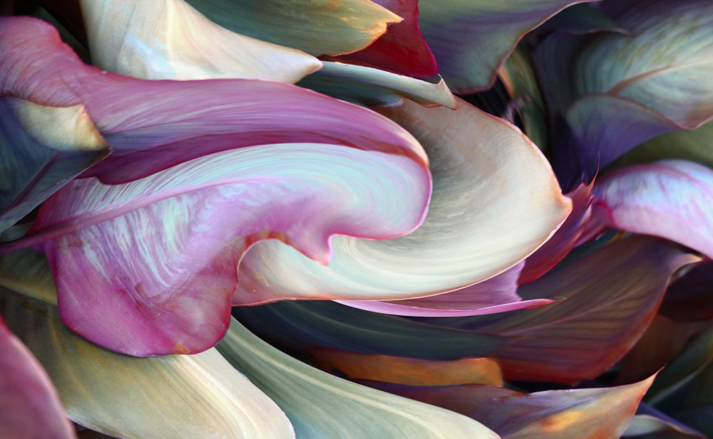 The colors in leaves art print by Robin Wechsler for $57.95 CAD