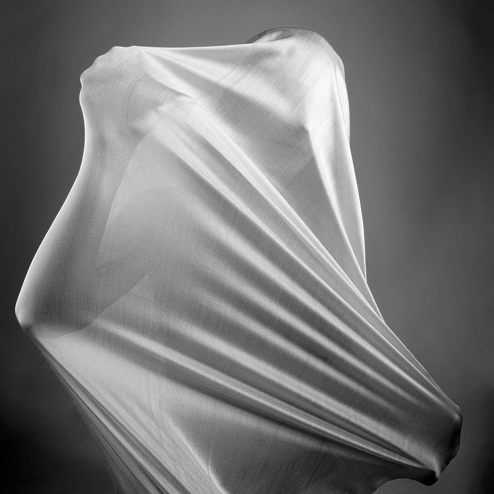 In the cocoon art print by Abbas Arabzadeh for $57.95 CAD