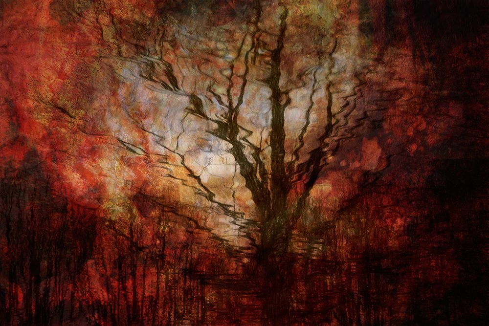 Forest on fire art print by Brigitte Van Krimpen for $57.95 CAD